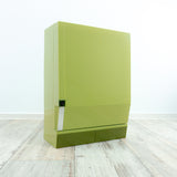 Pale moss green 1970s lockable BATHROOM MEDICINE CABINET with 2 drawers