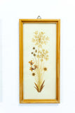 Pair of handmade 1960s DRIED FLOWERS wall art pictures