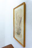 Large 1960s vintage DRIED FLOWERS wall art picture wooden framed