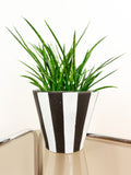 Extraordinary 1960s XL Conical Midcentury CERAMIC PLANTER Black White