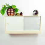 Rare! 1960s Vintage KITCHEN CABINET Cupboard, interchangeable sliding doors
