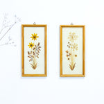 Pair of handmade 1960s DRIED FLOWERS wall art pictures
